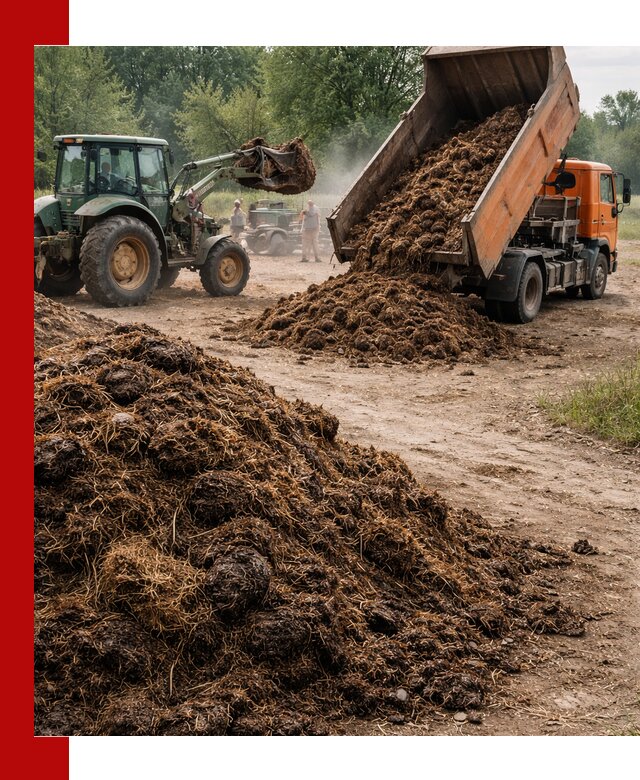 Доставка навоза самосвалами в Наро-Фоминске для сельхозпотребностей